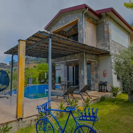 Pine Fethiye